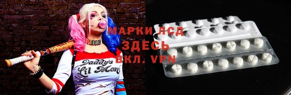 стафф Алзамай