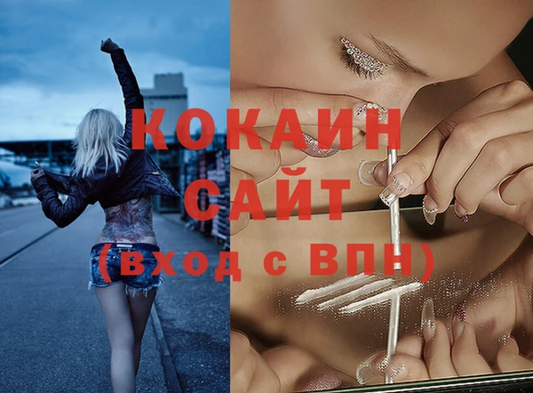 стафф Алзамай