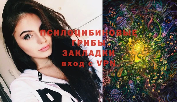 стафф Алзамай