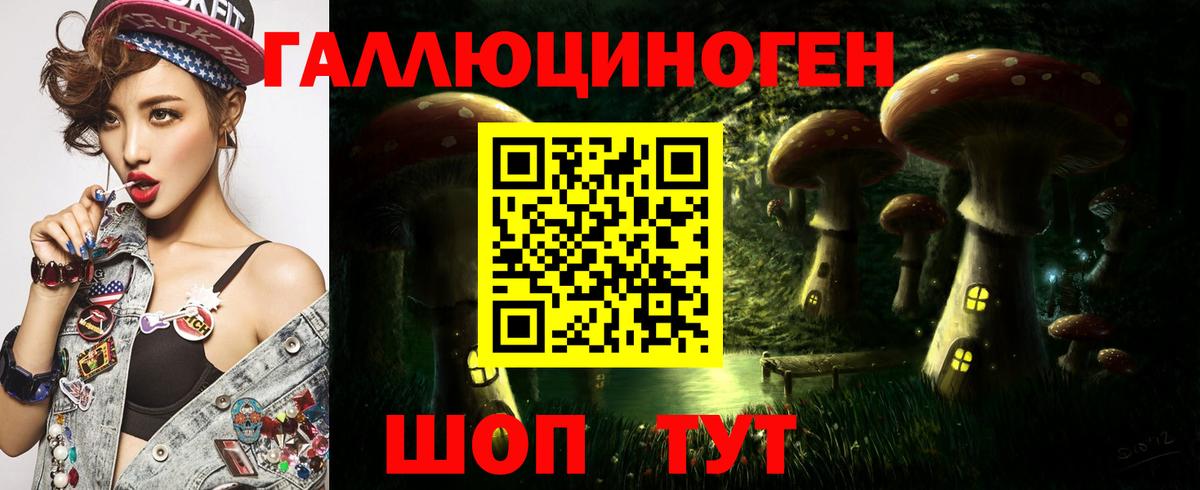 Псилоцибиновые грибы Cubensis Фролово