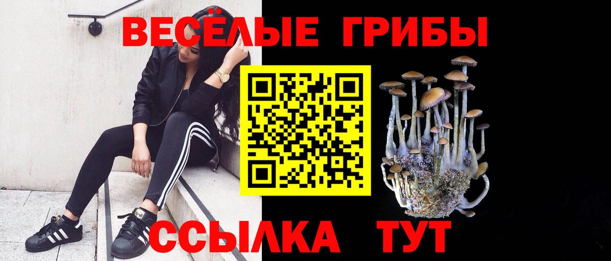 Псилоцибиновые грибы мухоморы  Вход с VPN  Фролово 